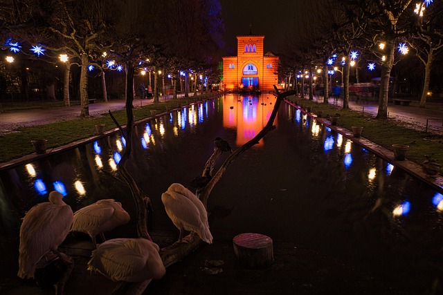 Erleben Sie ein stilvolles Escort Date in der Staatsgalerie Stuttgart im Dezember 2025 – Kunstgenuss, urbane Kultur und elegante Begleitung.